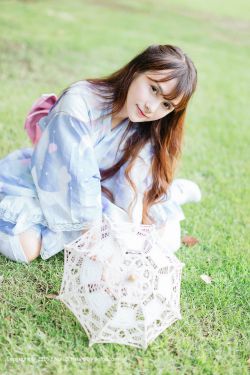 斛珠夫人电视剧免费观看全集